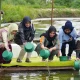 Pj Ketua PKK Sulsel Tebar Benur Udang Vaname dan Tanam Pisang Cavendish di Kota Parepare