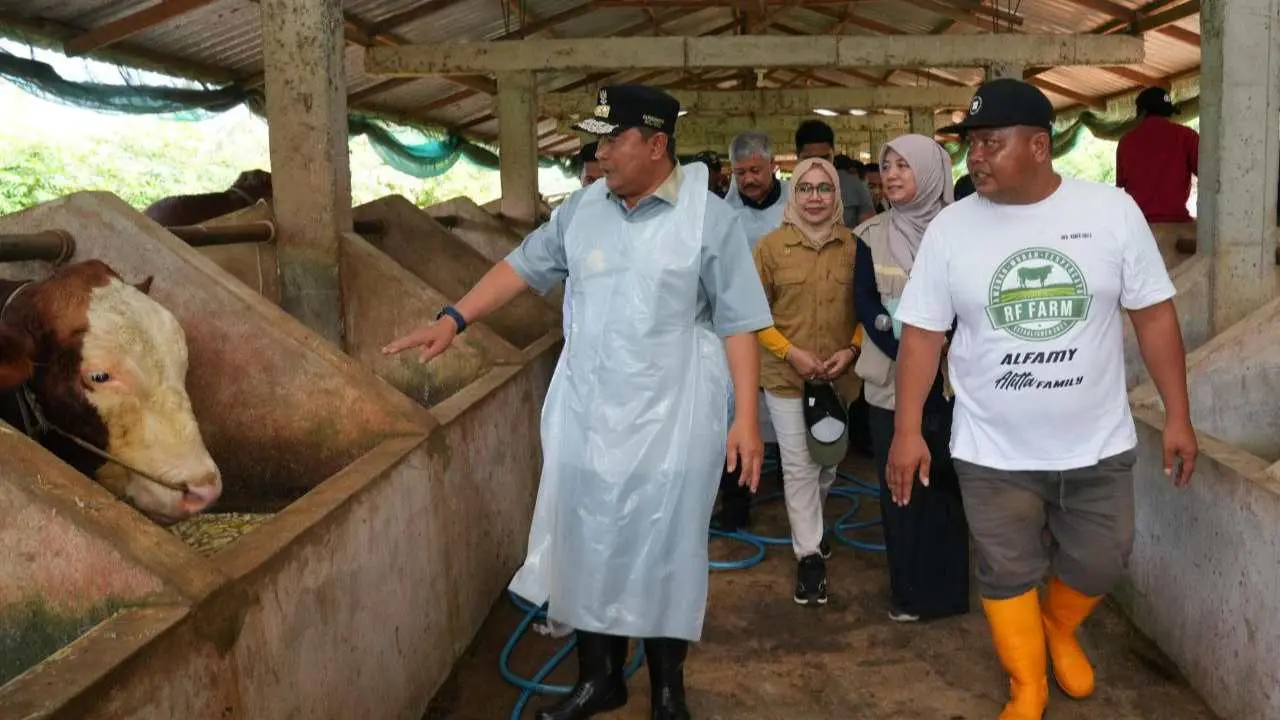 Di Pinrang, Pj Gubernur Sulsel Kunjungi Bangsal Pasca Panen, Tebar Benih Ikan & Inseminasi Buatan