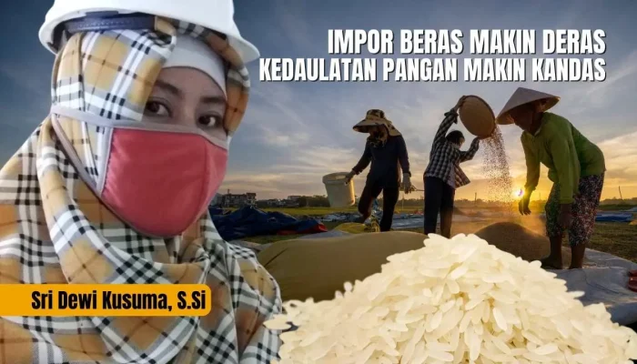 Impor Beras Makin Deras, Kedaulatan Pangan Makin Kandas