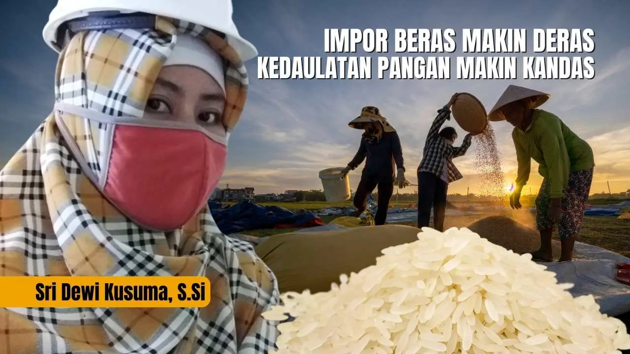 Impor Beras Makin Deras, Kedaulatan Pangan Makin Kandas