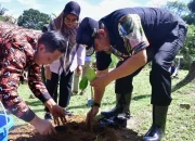 Selain Ikan Bandeng, Pangkep Diharapkan Jadi Penghasil Nangka Madu