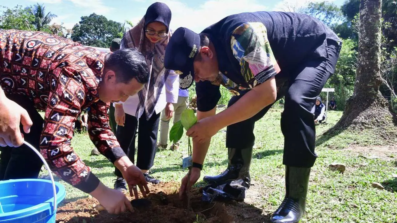 Selain Ikan Bandeng, Pangkep Diharapkan Jadi Penghasil Nangka Madu