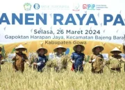 Panen Raya Padi di Desa Mandalle Gowa, BI Sulsel Terus Bersinergi Dukung Upaya Stabilisasi Harga Beras