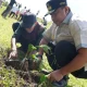 50 Ribu Bibit Akan Dibagikan pada Launching Sedekah Pohon Sekaligus Buka Puasa Akbar di Bone