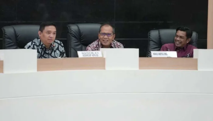 Makassar Daerah Tertinggi Capaian MCP di Sulsel, MCP Pemkot Makassar Meningkat
