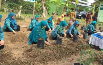 Semarakkan HKG ke-52: TP PKK Gowa Tanam 150 Bibit Cabai, Upaya Menekan Laju Inflasi 3 Semarakkan HKG ke-52: TP PKK Gowa Tanam 150 Bibit Cabai, Upaya Menekan Laju Inflasi