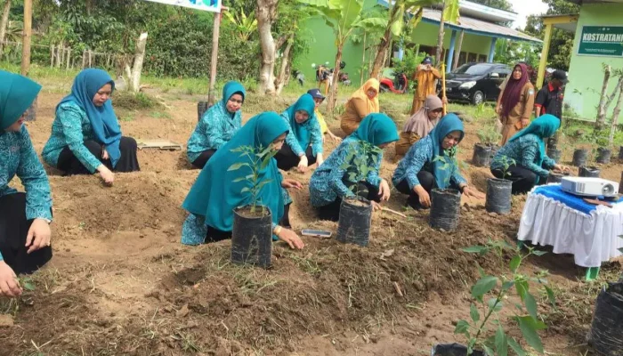 Semarakkan HKG ke-52: TP PKK Gowa Tanam 150 Bibit Cabai, Upaya Menekan Laju Inflasi