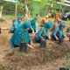 Semarakkan HKG ke-52: TP PKK Gowa Tanam 150 Bibit Cabai, Upaya Menekan Laju Inflasi