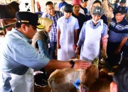 Safari Ramadan: Pj Gubernur Bahtiar di Maros, Salurkan Bantuan Sembako, Tanam Pisang Cavendish & Galakkan IB