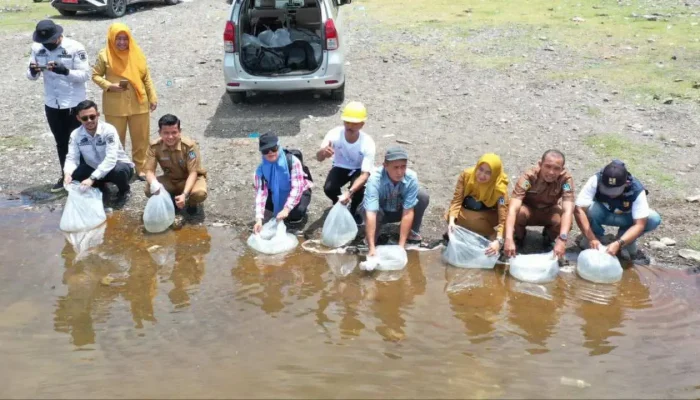 600 Ribu Benih Ikan Kembali Ditebar di Kabupaten Bone