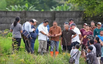 Pj Gubernur, Wali Kota dan Bupati Maros Kompak Tinjau Lahan Stadion di Makassar 8 Pj Gubernur, Wali Kota dan Bupati Maros Kompak Tinjau Lahan Stadion di Makassar