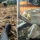 Antisipasi Anjloknya Harga, Pj Bupati Junaedi Tegaskan Pantau Harga Jagung di Jeneponto