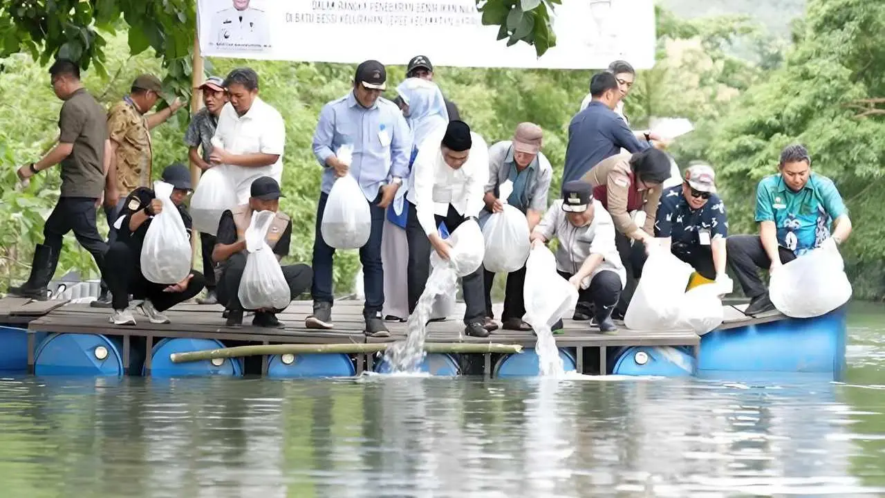 Wujudkan Ketahanan Pangan, Pemprov Sulsel Kembali Tebar 200 Ribu Benih Ikan Nila di Barru