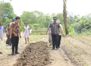 Pj Bupati Takalar Sambangi Pengepul & Petani Cabe di Mangadu Kec. Mangarabombang