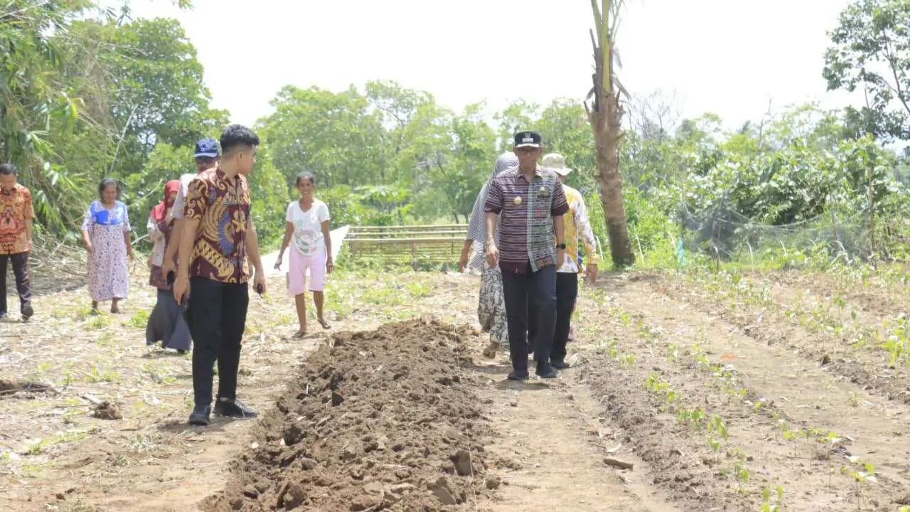 Pj Bupati Takalar Sambangi Pengepul & Petani Cabe di Mangadu Kec. Mangarabombang