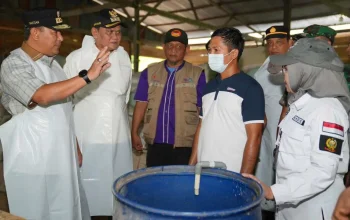 Melalui Inseminasi Buatan, Pj Gubernur Sulsel Dorong Peternak Jadi Pengusaha Ternak 4 Melalui Inseminasi Buatan, Pj Gubernur Sulsel Dorong Peternak Jadi Pengusaha Ternak