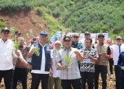 Setelah Pisang Cavendish, Pj Gubernur Bahtiar Target Sulsel Jadi Penghasil Nanas