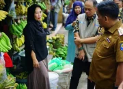 Pj Bupati Jeneponto Tegur Kadis Pertanian soal Adanya Pisang dari Palopo Dijual di Pasar Karisa