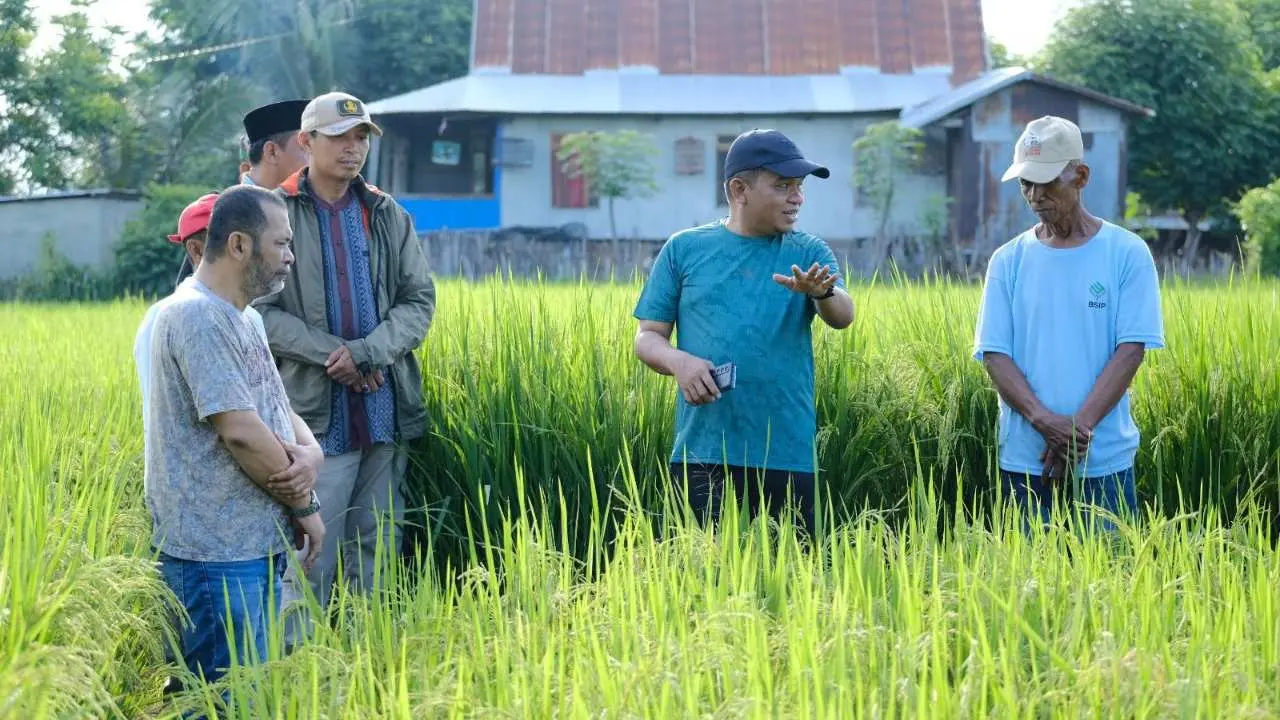 Pj Bupati Jeneponto: Petani Terus Lakukan Terobosan dan Inovasi Teknologi Pertanian untuk Tingkatkan Kualitas Padi