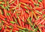 Upaya Tekan Harga Cabe, Pj Bupati Kumpulkan Pengepul & Petani Cabe se-Kabupaten Takalar