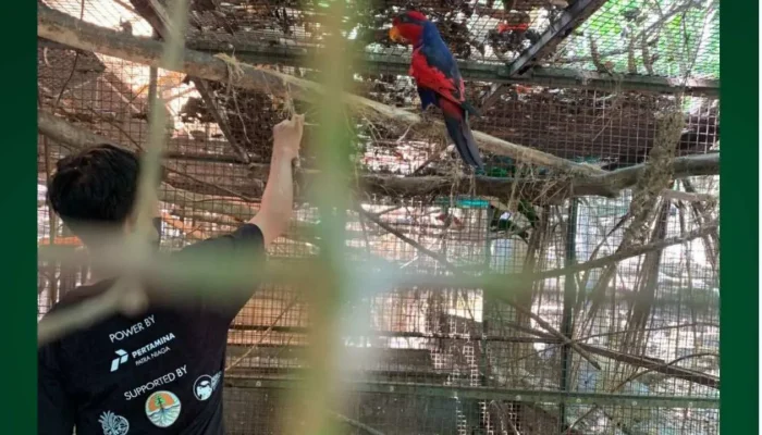 Selamatkan Sampiri, Pertamina Bitung Bersama Mike berhasil Raih Local Hero Inspiration Award 2024