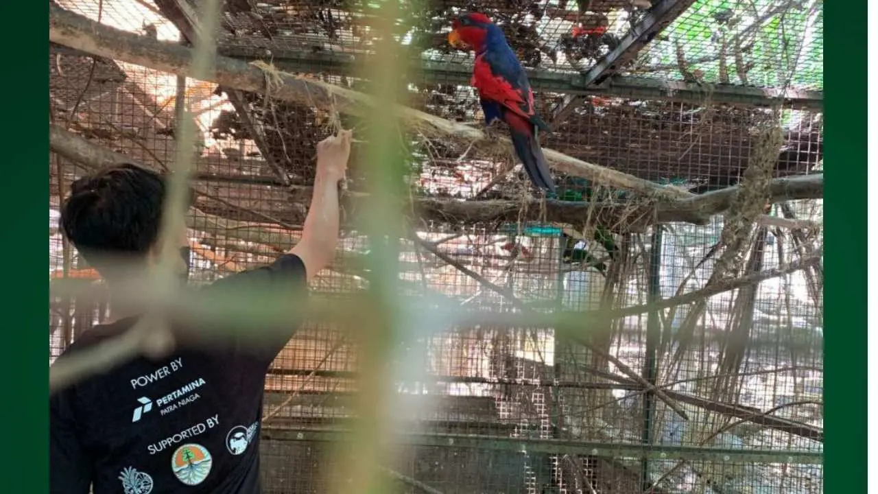 Selamatkan Sampiri, Pertamina Bitung Bersama Mike berhasil Raih Local Hero Inspiration Award 2024