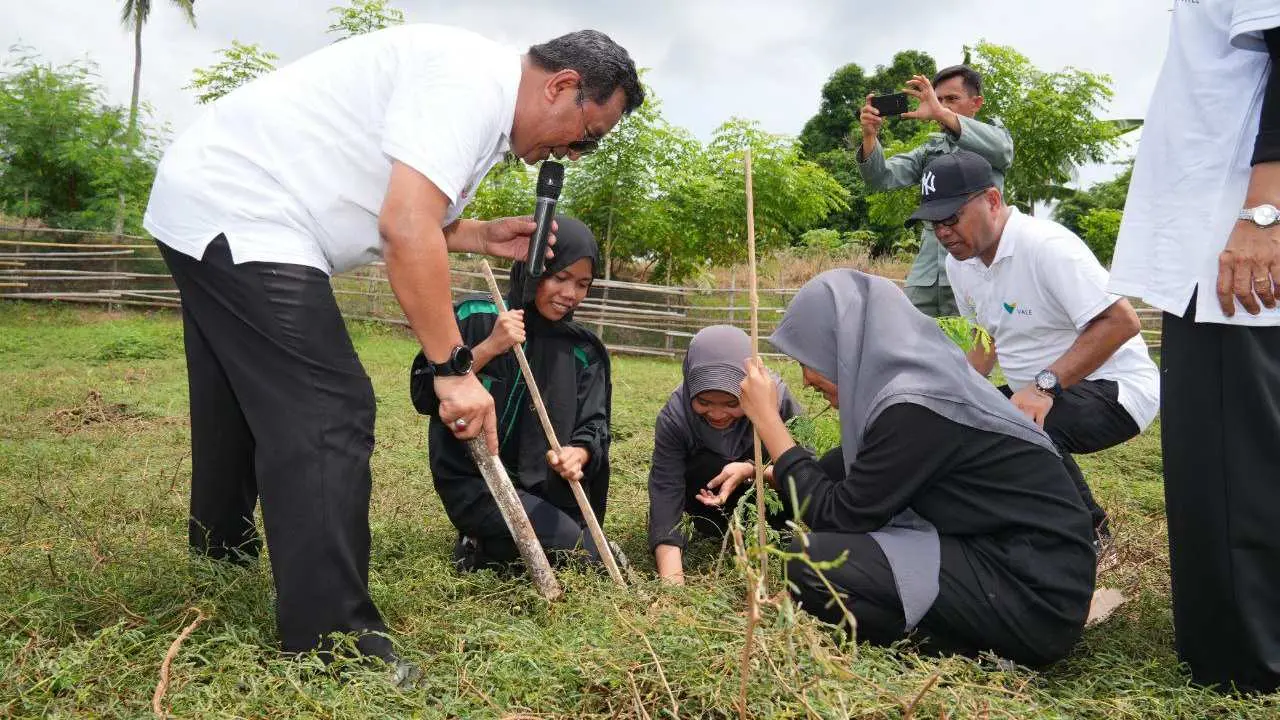 Hari Bumi, Sulsel Tanam 2 Juta Pohon, Terbesar di Indonesia