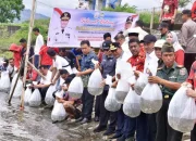 Tebar 100 Ribu Benih Ikan, Pj Gubernur Sulsel Ajak Masyarakat Rawat Bendungan Bili-bili