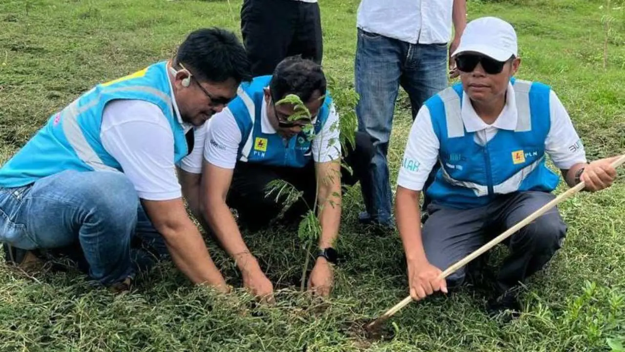 Hari Bumi 2024, PLN Tanam Seribu Pohon Produktif di Wajo