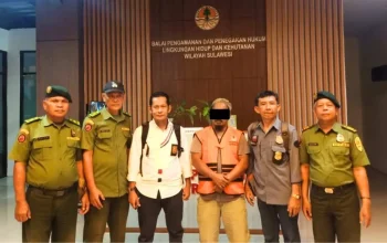 Gakkum KLHK Limpahkan Berkas Perkara Makelar Kayu Ilegal ke Kejari Tana Toraja