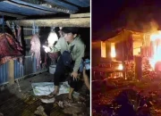 Kuda Milik Warga Barandasi Ditemukan di Taba, Massa Spontan Bakar Tempat Penemuan Kuda Curian