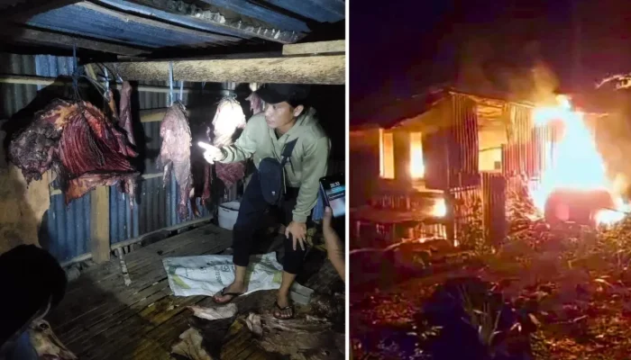 Kuda Milik Warga Barandasi Ditemukan di Taba, Massa Spontan Bakar Tempat Penemuan Kuda Curian