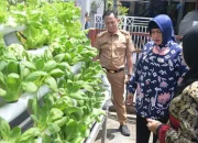 Ketua TP PKK Makassar dan Kadis Ketapang Tinjau Lorong Wisata di Dua Kecamatan