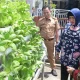 Ketua TP PKK Makassar dan Kadis Ketapang Tinjau Lorong Wisata di Dua Kecamatan