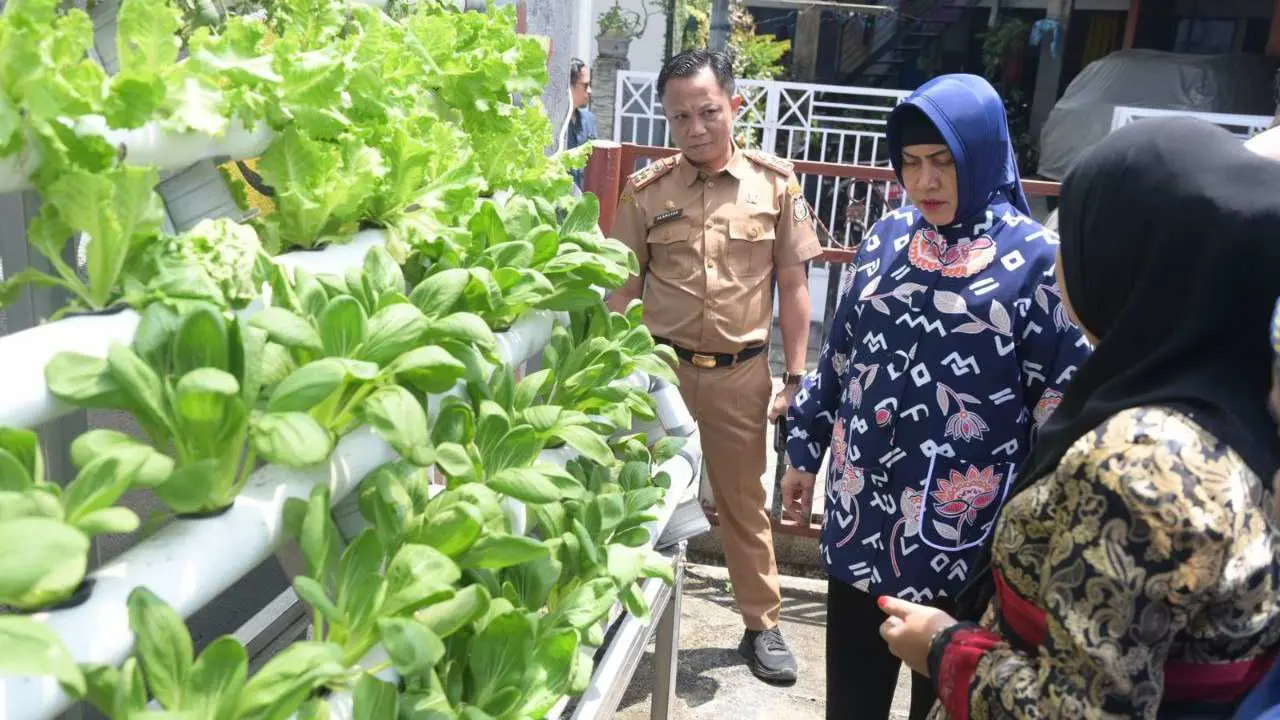 Ketua TP PKK Makassar dan Kadis Ketapang Tinjau Lorong Wisata di Dua Kecamatan