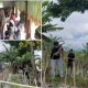 Jauh dari Bantaeng Silaturahmi Berlebaran ke Orang Tua di Desa Kassi Jeneponto, Seorang Pria Tewas Gantung Diri di Pohon