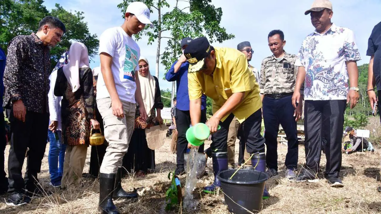 Berhasil di Salah Satu Dusun, Penanaman Sukun di Desa Kanco Kabupaten Bone Diperluas