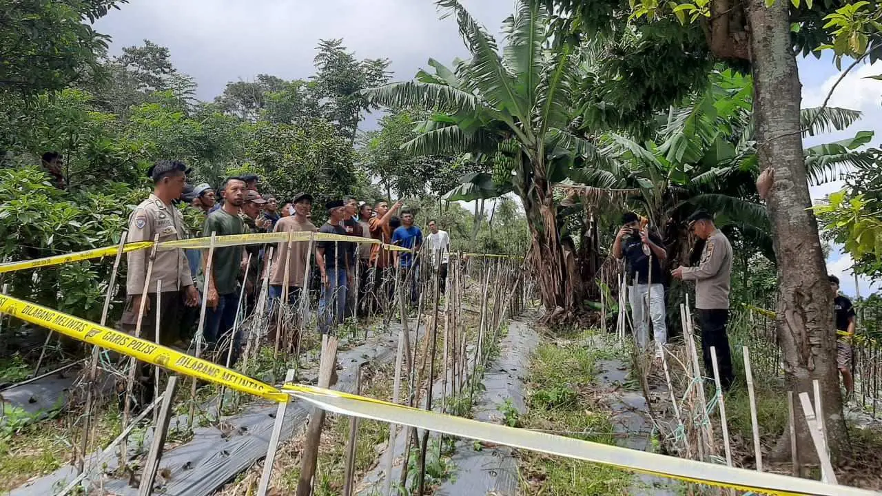 Jauh dari Bantaeng Silaturahmi Berlebaran ke Orang Tua di Desa Kassi Jeneponto, Seorang Pria Tewas Gantung Diri di Pohon 2 Jauh dari Bantaeng Silaturahmi Berlebaran ke Orang Tua di Desa Kassi Jeneponto, Seorang Pria Tewas Gantung Diri di Pohon
