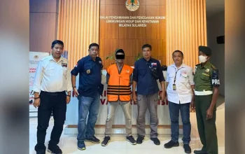 Gakkum KLHK Tetapkan Pemodal Sebagai Tersangka Kasus Pengrusakan Cagar Alam Faruhumpenai Sulsel