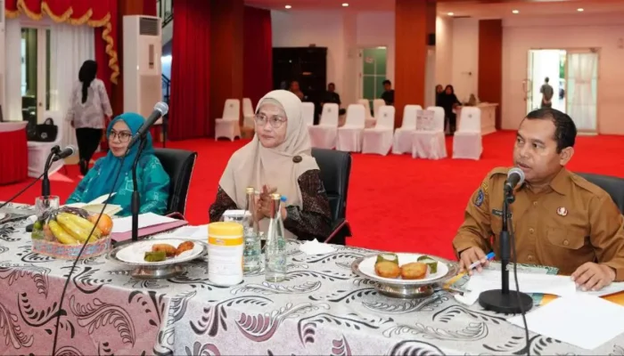 Pimpin Rapat Pemantapan TP PKK Sulsel, Ninuk Triyanti Zudan ingatkan 10 Program Pokok PKK