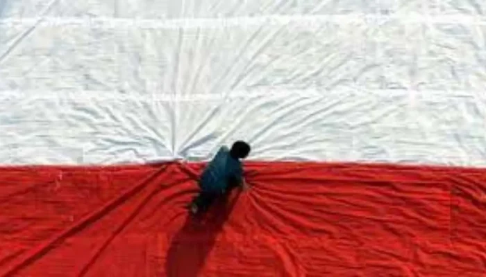 Pemerintah Berencana Tawarkan Kewarganegaraan Ganda Untuk Tarik Pekerja Terampil