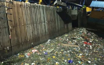 Balita Ela yang Ditemukan Meninggal di TPA Tamangapa Makassar, Sebelumnya Sempat Dianggap Disembunyikan Makhluk Halus 3 Balita Ela yang Ditemukan Meninggal di TPA Tamangapa Makassar, Sebelumnya Sempat Dianggap Disembunyikan Makhluk Halus