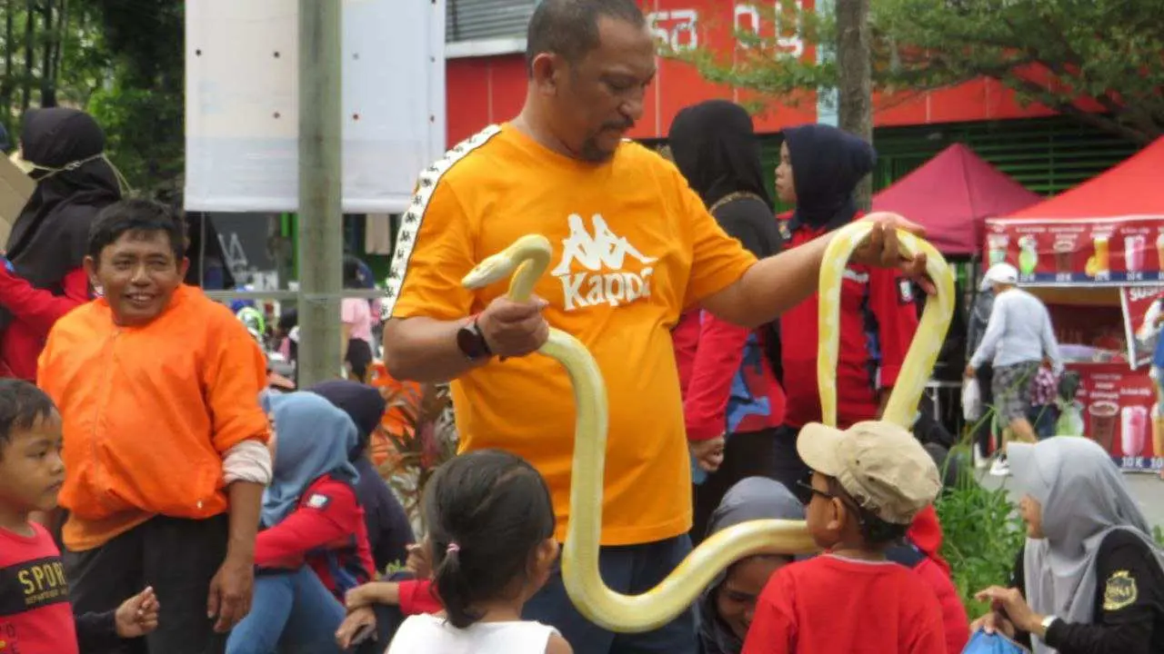 Damkarmat Meriahkan Car Free Day di Boulevard dengan Kegiatan Edukatif & Hiburan 2 Damkarmat Meriahkan Car Free Day di Boulevard dengan Kegiatan Edukatif & Hiburan