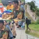 Nakes Sulsel Rela Jalan Kaki untuk Layani Korban Banjir-Longsor di Titik Terisolir Latimojong