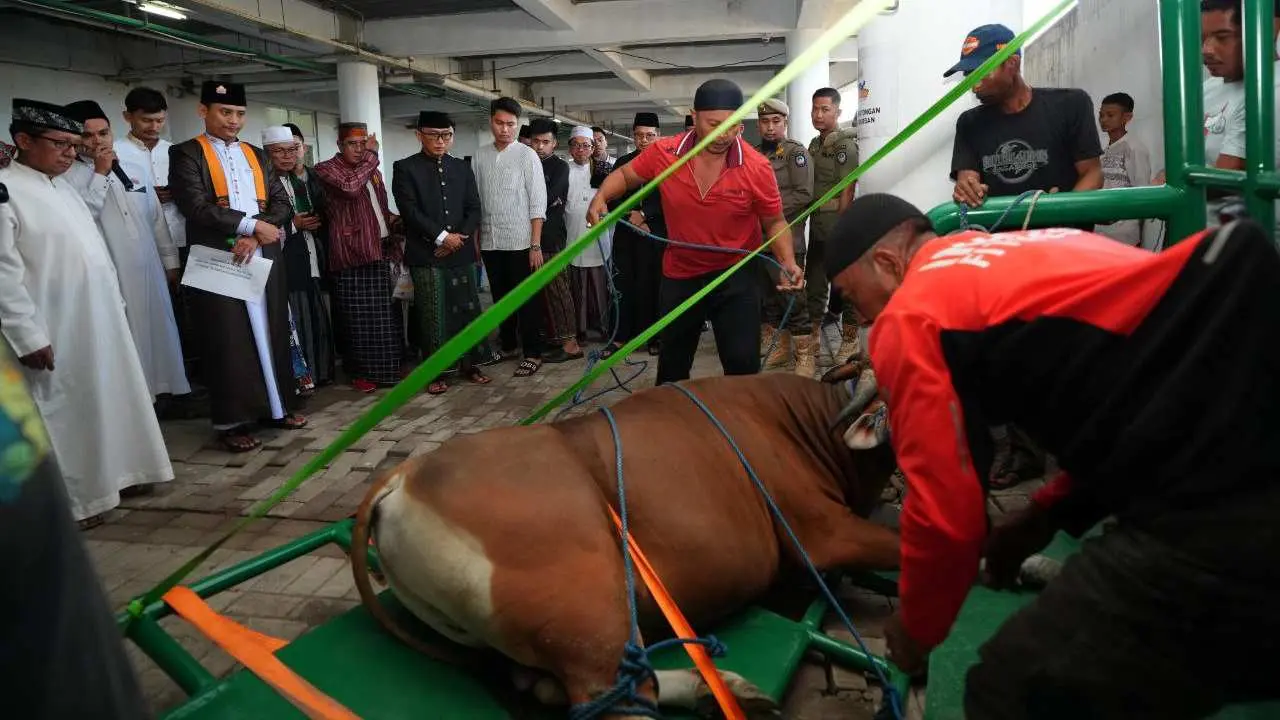 Pj Gubernur Zudan Saksikan Pemotongan Hewan Kurban di Masjid Kubah 99 Asmaul Husna