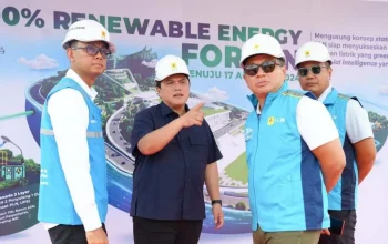 Tinjau PLTS PLN, Menteri BUMN Pastikan Peringatan HUT RI di IKN Gunakan Listrik Hijau 3 Tinjau PLTS PLN, Menteri BUMN Pastikan Peringatan HUT RI di IKN Gunakan Listrik Hijau