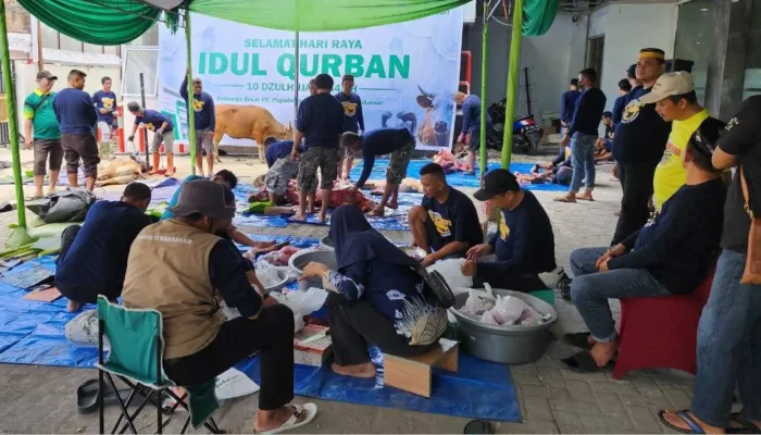 Iduladha 1445 H: Pegadaian Makassar Bagikan 107 Ekor Daging Kurban