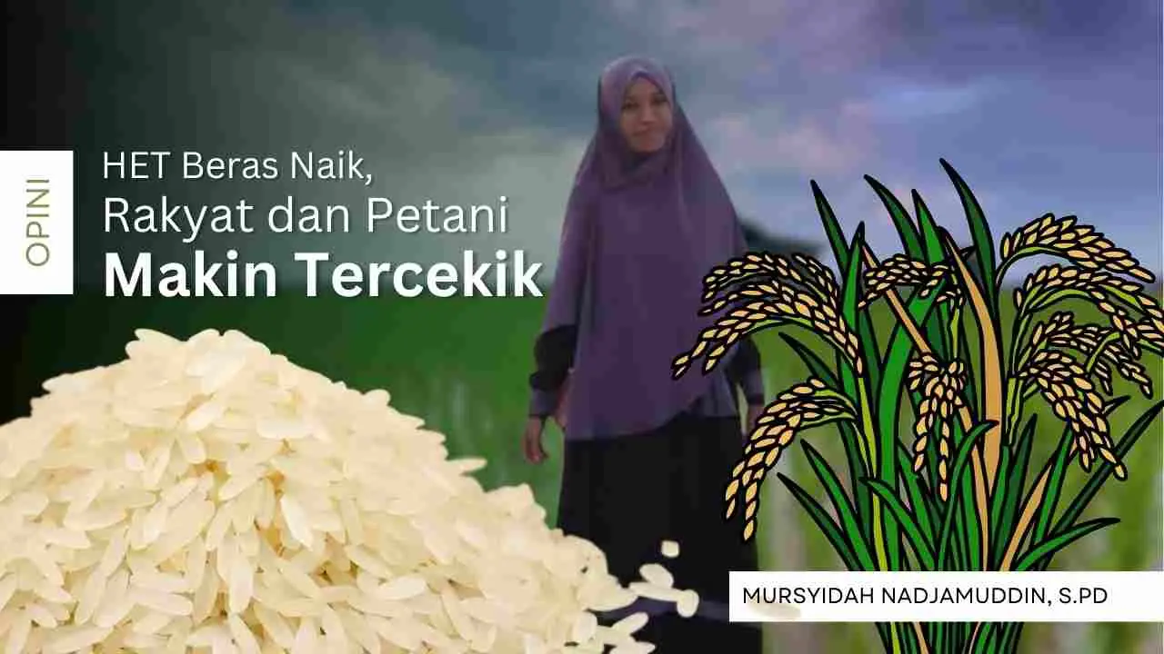 HET Beras Naik, Rakyat dan Petani Makin Tercekik