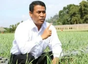 Jadi Orang Terkaya di Sulsel, Andi Amran Sulaiman: Sesuai LHKPN di KPK