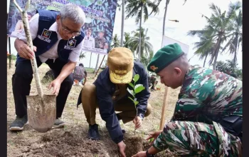 Pj Gub Prof Zudan - Kadis TPH-Bun & Pangdam Hasanuddin Panen Raya Padi-Tanam Nangka Madu 9 Pj Gub Prof Zudan - Kadis TPH-Bun & Pangdam Hasanuddin Panen Raya Padi-Tanam Nangka Madu